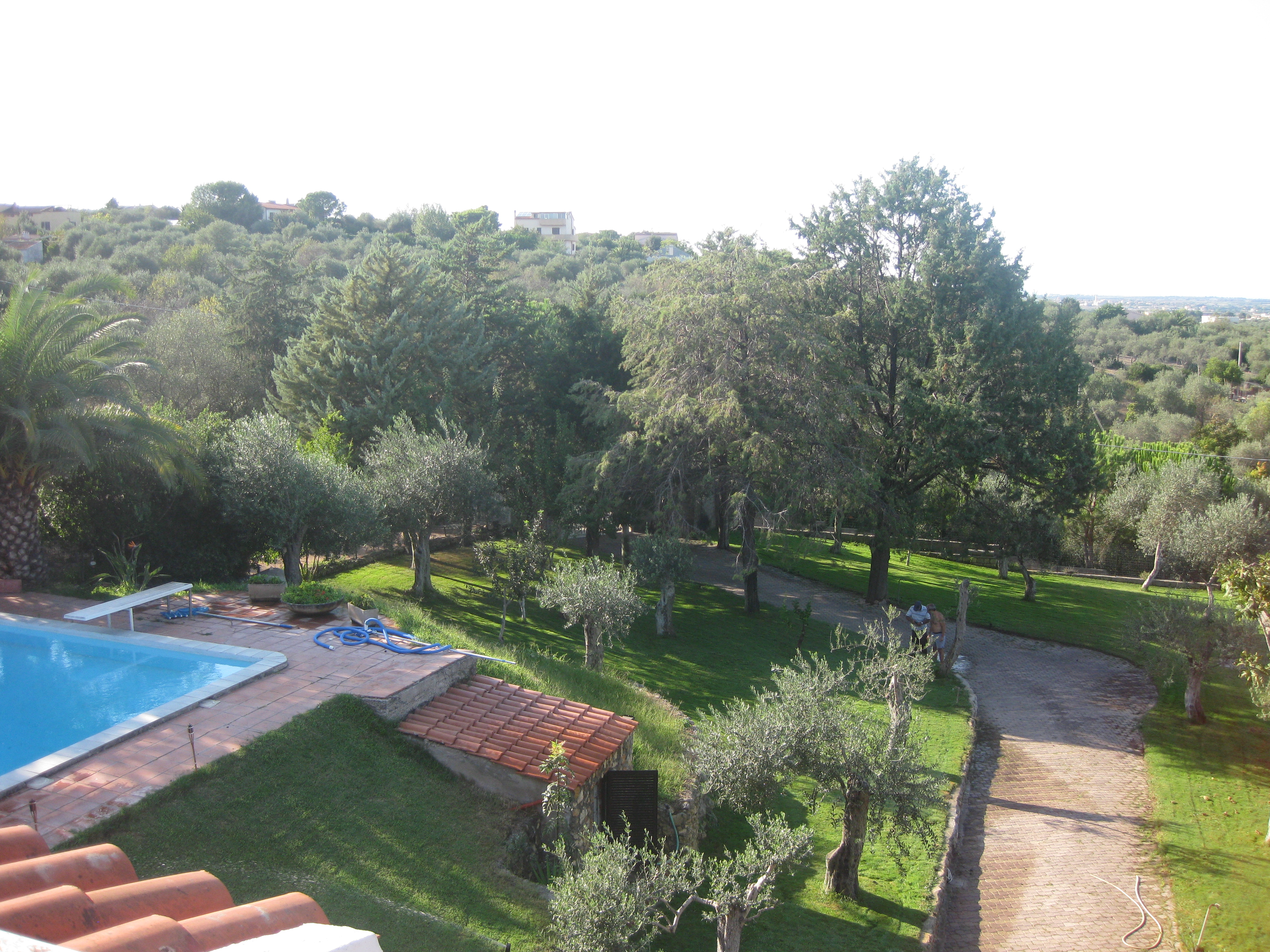 panorama